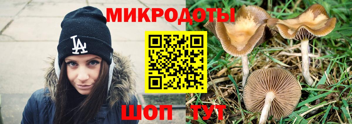 как найти наркотики  Вход с VPN  Большой Камень  Галлюциногенные грибы Magic Shrooms  Галлюциногенные грибы мицелий 