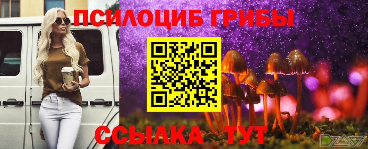Псилоцибиновые грибы MAGIC MUSHROOMS Большой Камень